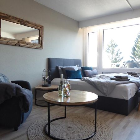 Mountain Suite Winterberg Pool Sauna Hund 4 Pers Wifi Near Bikepark Exteriör bild
